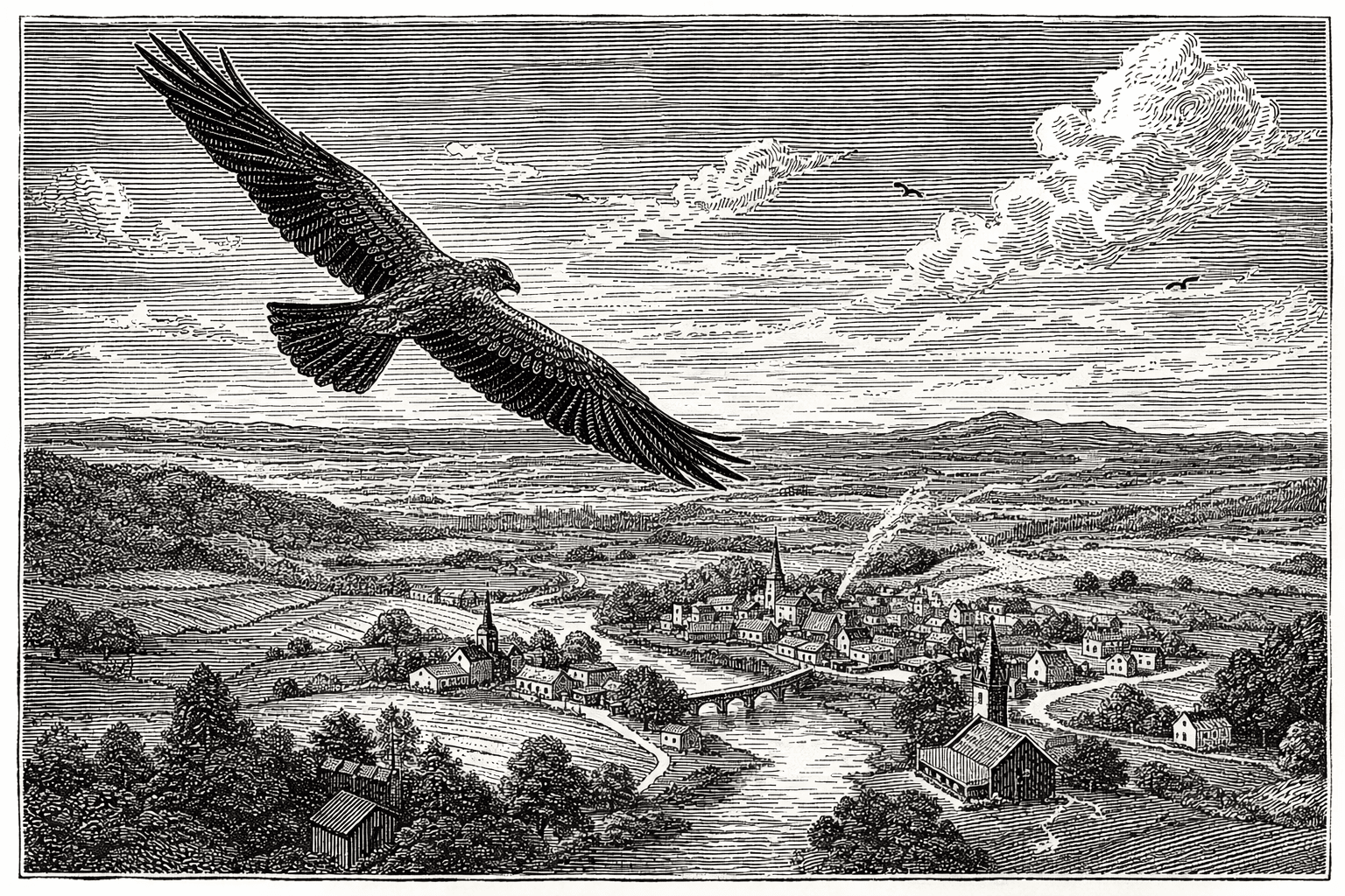 Bird's eye view woodcut