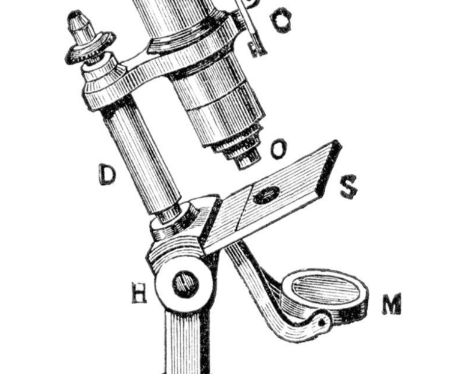 Engraving of a labeled compound microscope